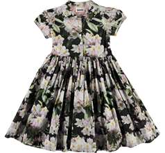 Cybil Dresses